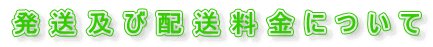 発送及び配送料金について